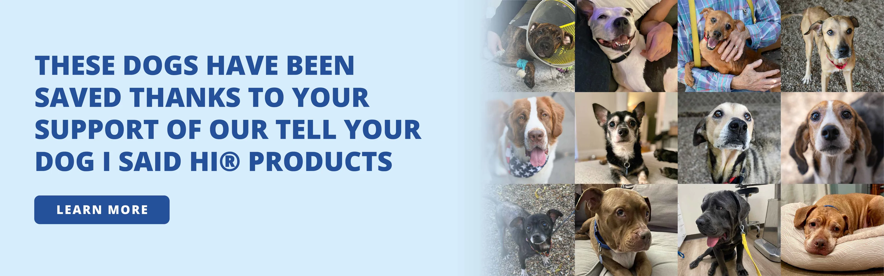 Iconic Apparel for Good Dogs